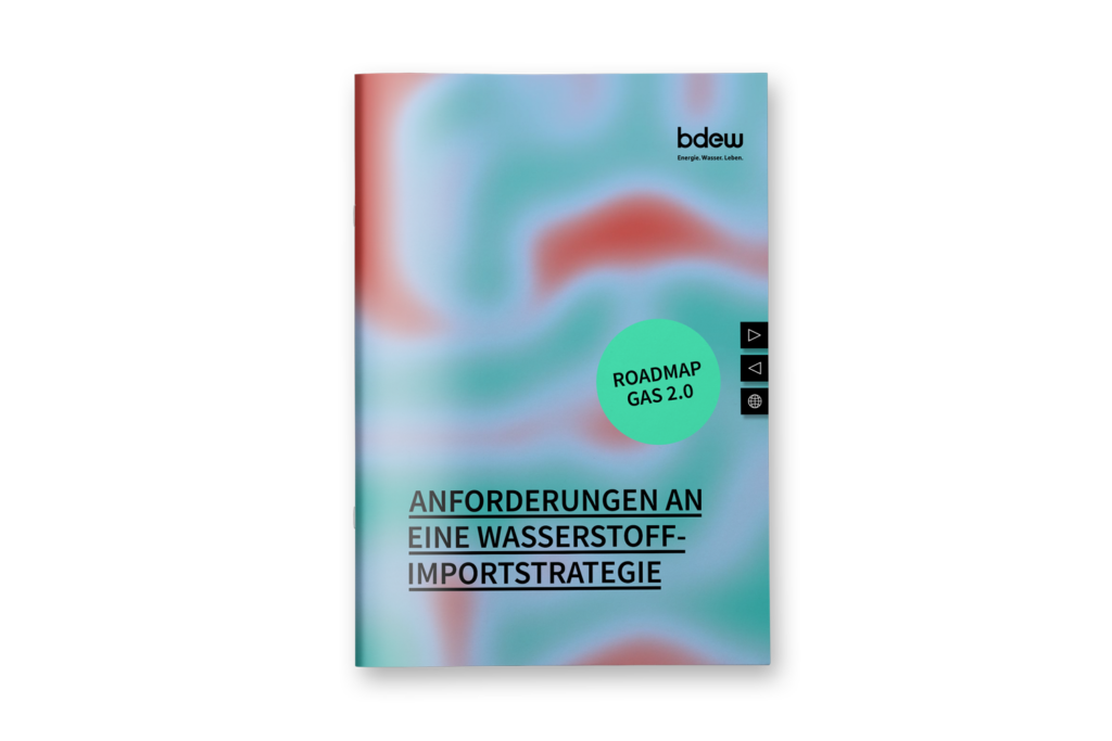 Anforderungen an eine Wasserstoff-Importstrategie