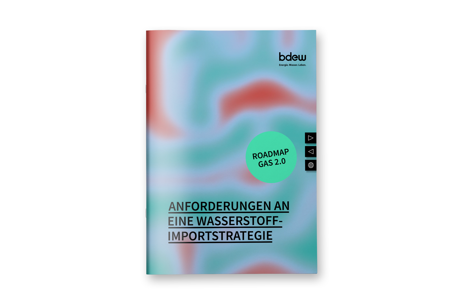 Anforderungen an eine Wasserstoff-Importstrategie